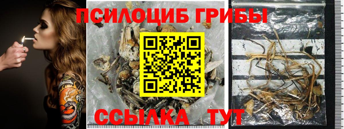 Галлюциногенные грибы прущие грибы Торжок